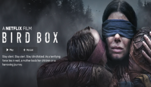 Read more about the article Netflix original, Bird Box will leave you in awe of the story.