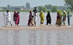 Read more about the article Celebs Join Flood Relief Efforts In Punjab