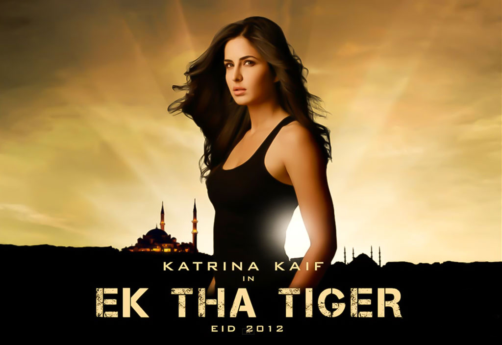 Read more about the article Ek Tha Tiger Re-Releasing In Theatres