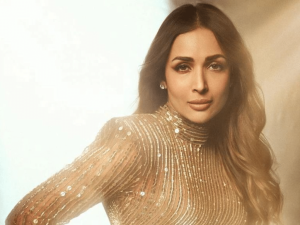 Read more about the article Malaika Arora Defends Bollywood Dance Numbers