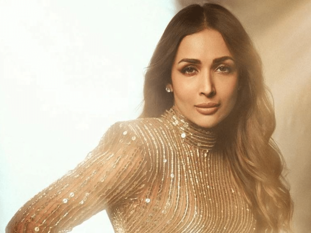 Read more about the article Malaika Arora Defends Bollywood Dance Numbers