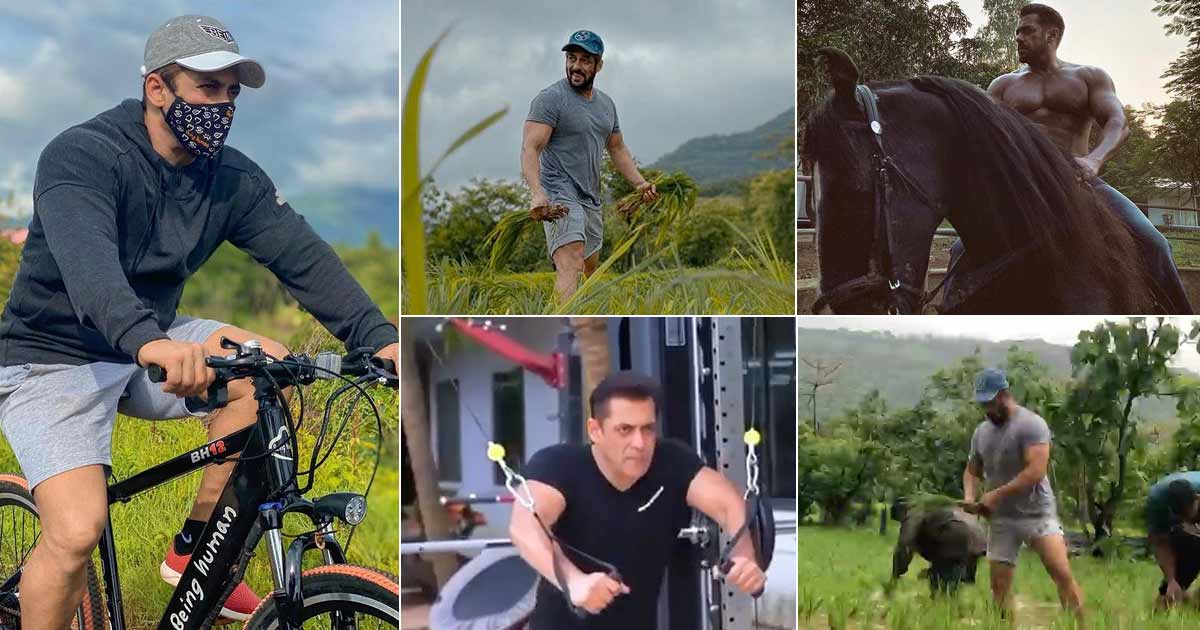 Read more about the article Salman Khan’s Huge Panvel Farmhouse Wows Fans