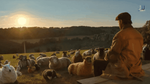 George Hardy reads to his flock in The Sheep Detectives movie on Amazon Prime Video 2026