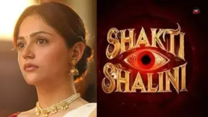 Bollywood release calendar from December 2026 to March 2027 showing where Shakti Shalini could fit